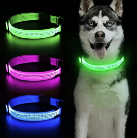 LED Hunde Halsband – Für mehr Sicherheit im Dunkeln
