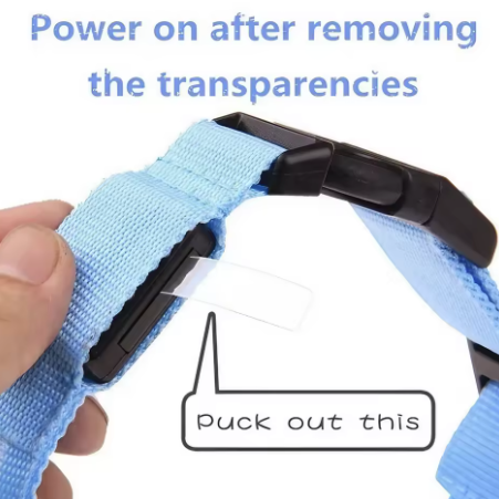 LED Hunde Halsband – Für mehr Sicherheit im Dunkeln